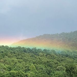 Meet your Posher, Brandy